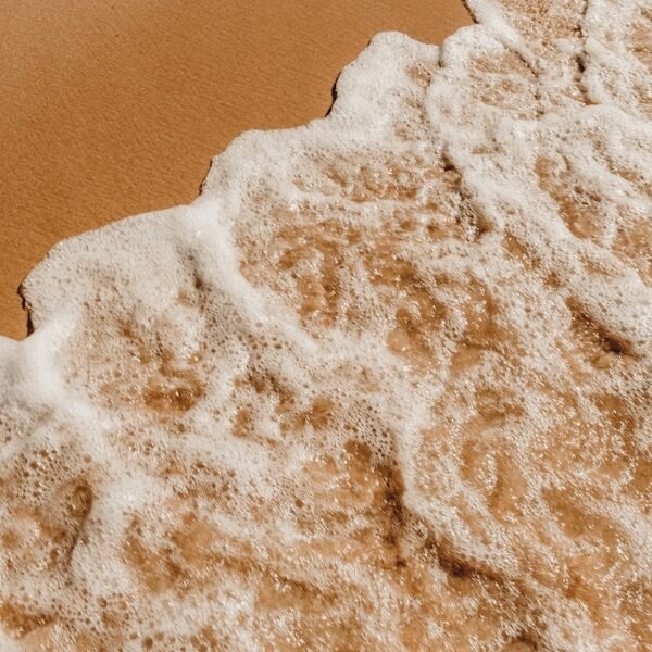 From Avocado to Lavender: 5 Surprising Ingredients to Elevate Your Dessert Game